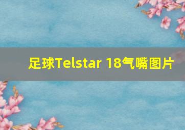 足球Telstar 18气嘴图片